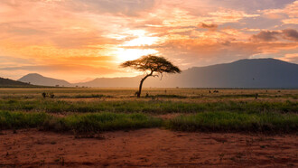 Il futuro è in Africa