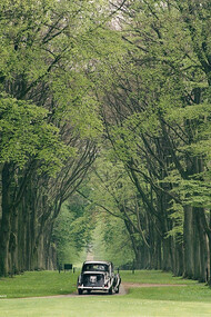 A tranquil drive through Lucknam Park's mile-long avenue, leading to the grand Palladian mansion, England