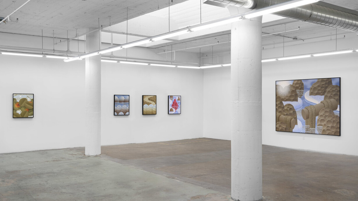 Laurens Legiers, Squinting to see more clearly, exhibition view. Courtesy of Nicodim Gallery