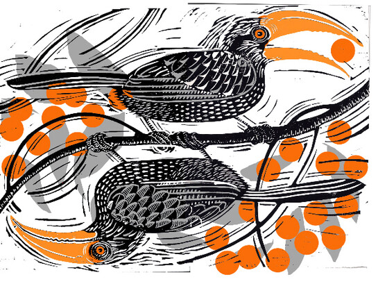 Rebecca Elliot, Birds