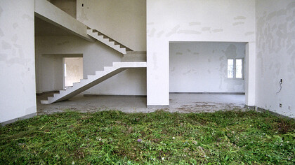 Grass summer, ph Andi Schmied  