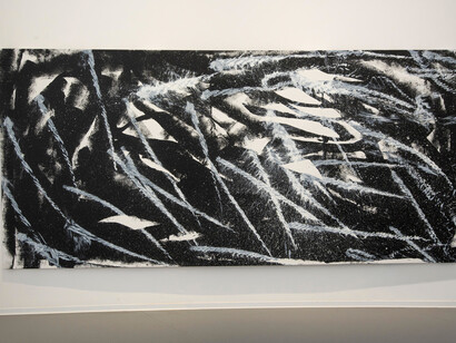 Patrícia Koyšová, Free fall, exhibition view. Courtesy of Danubiana