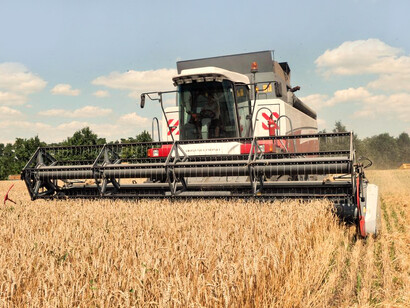 Russia-Ukraine conflict: war is heavily affecting the global grain supply