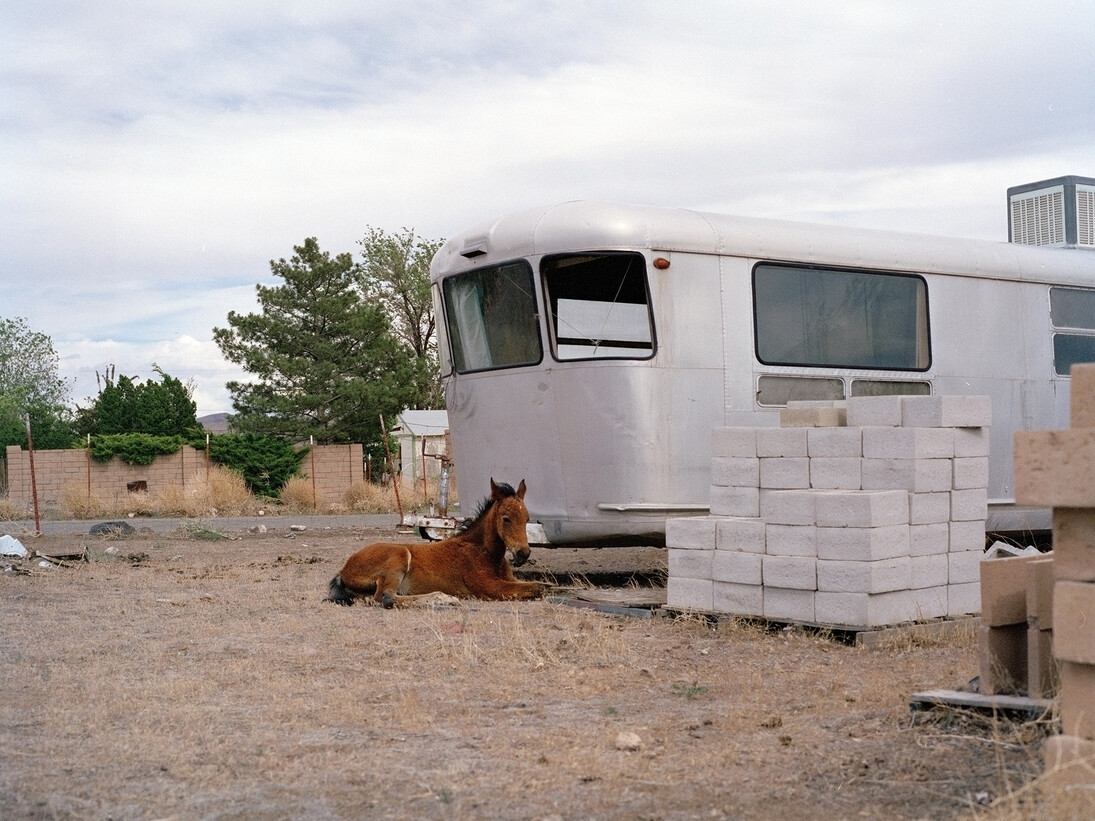 Charlotte Dumas, Iroquois Trail Stagecoach NV, from the series The Widest Prairies, 2013 © Charlotte Dumas, Courtesy of the artist