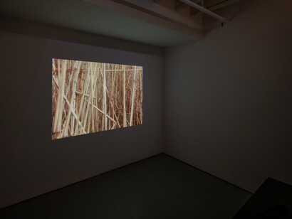 Various artists, Rich land, poor land, a study of waste in the Natural Resources of America, exhibition view. Courtesy of Carriage Trade