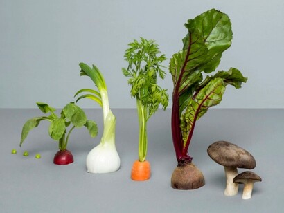 Ingredientes naturales en Gastrofestival Madrid