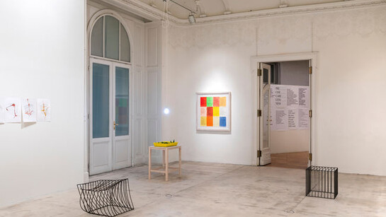 Lois Weinberger. Courtesy of Galerie Krinzinger