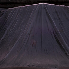 Daniela Friebel, from the series Auspicia