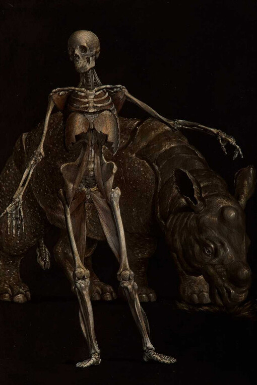Anonymous, Bolognese School, Skeletons and rhinoceros. Courtesy of Colnaghi