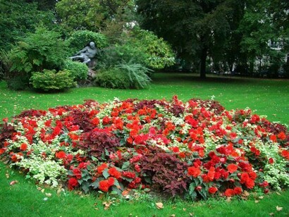 Blumenbeet