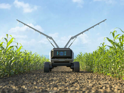 AI-powered agricultural robots are transforming smart farms by accurately spraying fertilizer on corn fields, improving farming efficiency and ensuring rigorous quality control throughout the food production process