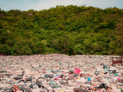 Scrap yard with waste and trees