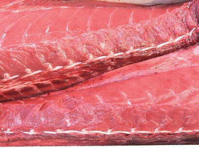 La carne del atún rojo