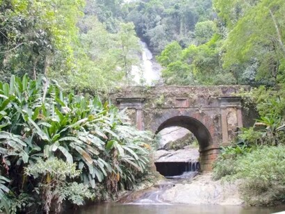 Parque Florestal da Tijuca, Rio de Janeiro, Brasil