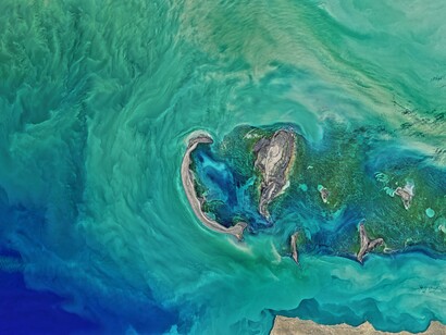 We are on the fast-track to extinction