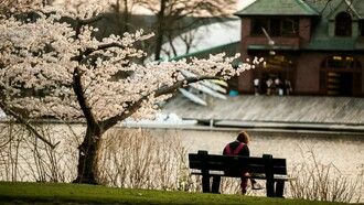 Estudiante en el campus de Harvard. En Estados Unidos, se están intensificando los debates sobre el significado del fascismo y su posible manifestación en la política actual, especialmente desde la presidencia de Donald Trump
