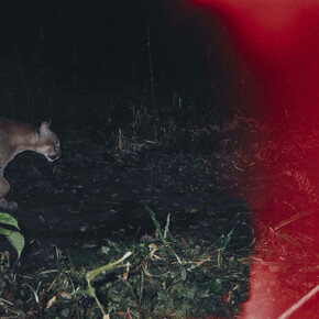 Colección Soledad Lorenzo. Courtesy of Museo Nacional Centro de Arte Reina Sofía 