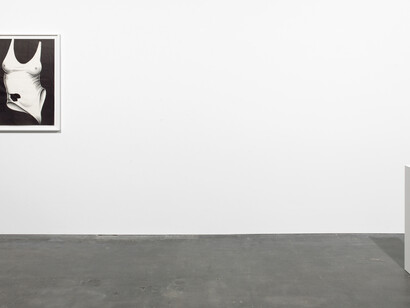 Aïda Ruilova, installation view. Courtesy of Galerie Guido W. Baudach