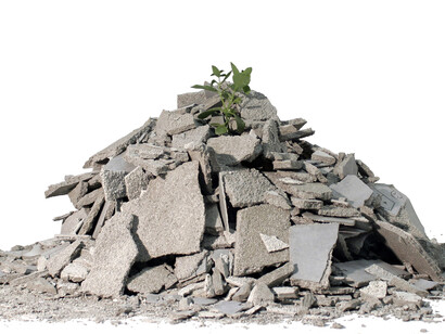 Andrea Francolino, Performance of plant, 2014, waste of works and plant, born between concrete, variable measures