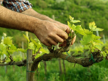 È possibile modificare i tassi di sviluppo e pervenire ad una condizione di stabilità ecologica ed economica sostenibile anche nel lontano futuro
