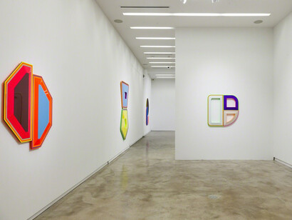 Beverly Fishman. Courtesy of Kavi Gupta