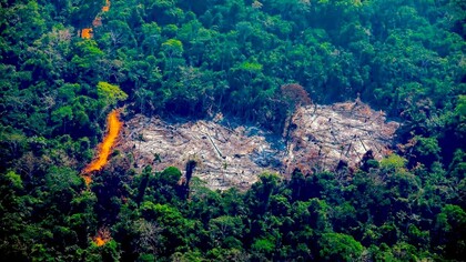 Incêndios na Floresta Amazônica em 2019