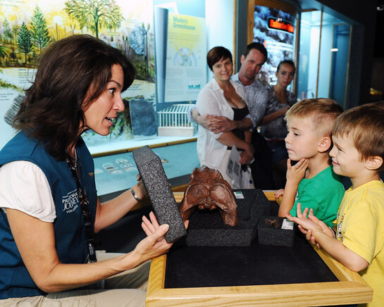 Prehistoric Journey. Courtesy of Denver Museum of Nature & Science