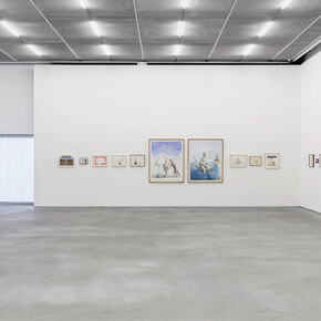 Alex Cerveny. Courtesy of Casa Triângulo