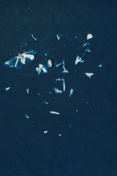 Dawn Roe. Courtesy of Tracey Morgan Gallery