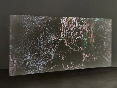 Matt Saunders, On an overgrown path, exhibition view. Courtesy of Marian Goodman Gallery
