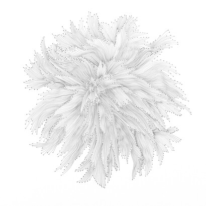 Interstellaris. Courtesy of GR Gallery