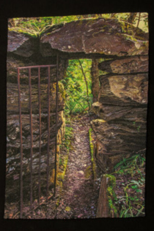 Carol Shinn. Courtesy of Tansey Contemporary