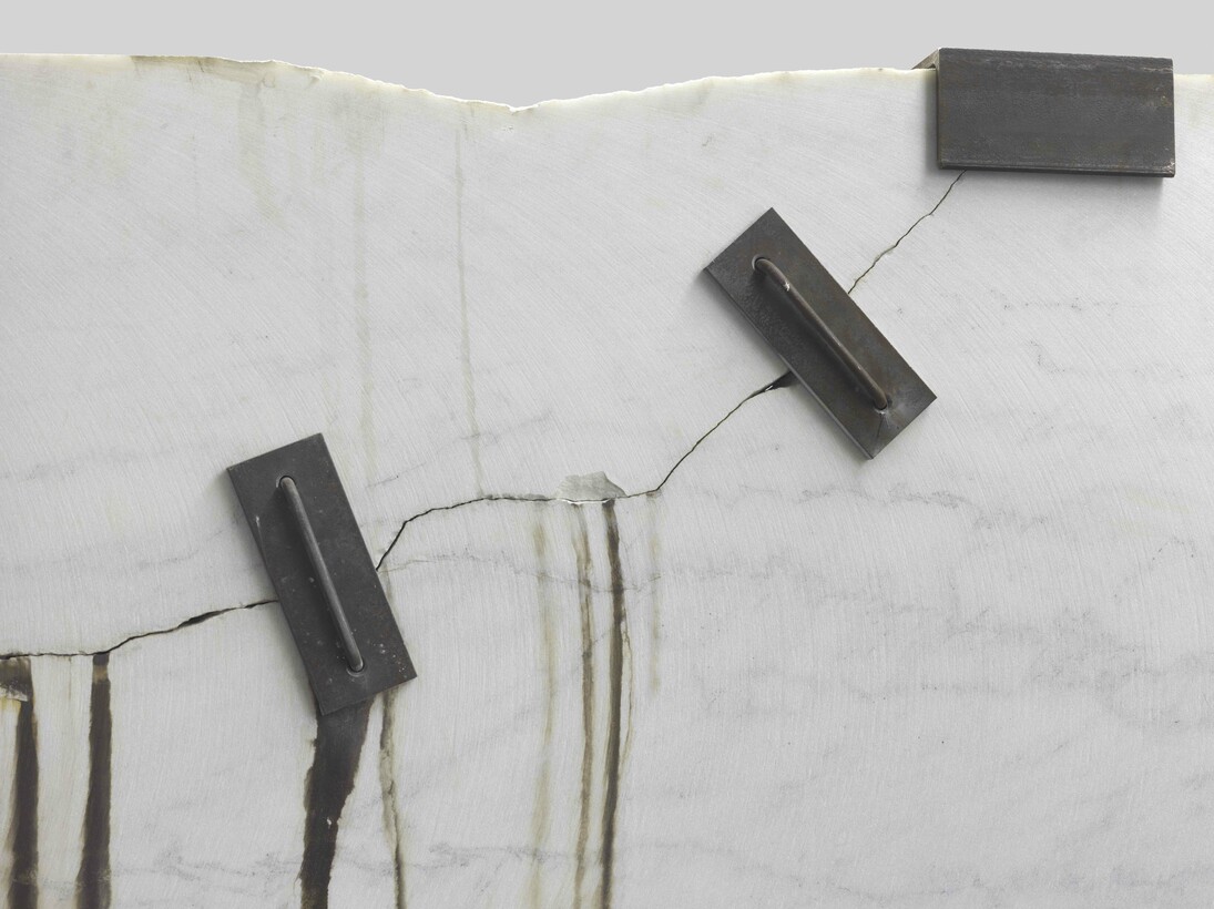 Michael Joo, Prologue (Montclair Danby Vein Cut) detail, 2014-2015, Courtesy the artist and BlainSouthern