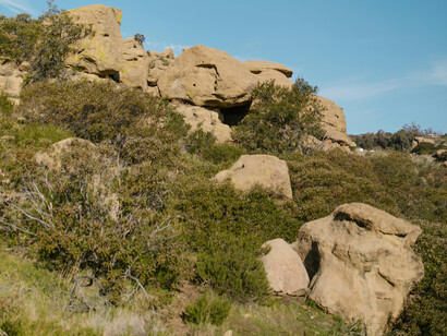 Dry bushes hide rocks on the mountainside