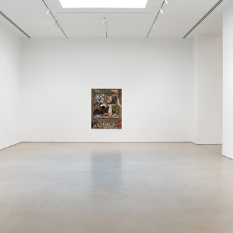 Emily Mae Smith, Transit of Venus, exhibition view. Courtesy of Petzel Gallery