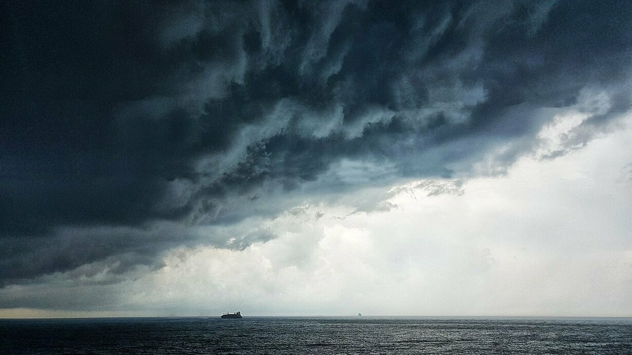 E soprattutto, loro, sicuramente non hanno paura della pioggia. Le inondazioni di maggio invece a me hanno lasciato paura della pioggia, del vento, della siccità, del caldo, del freddo che non arriva