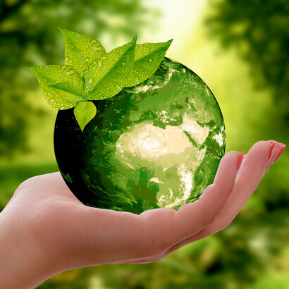 As empresas estão a encarar a sustentabilidade como um fator competitivo
