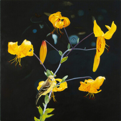 Diane Andrews Hall, Goldfinch with Fermata, 2020. Oil on wood, 20 x 20 in. Courtesy of the artist and Rena Bransten Gallery
