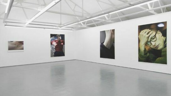 Central nervous system, exhibition view, first floor gallery Maureen Paley, London, 2013, © the artist, courtesy Maureen Paley, London