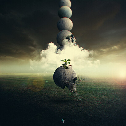 Elton Fernandes, *Rise*