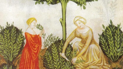 Tacuinum Sanitatis, XIV sec