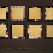 Winter 2019 Exhibitions. Courtesy of Wasserman Projects