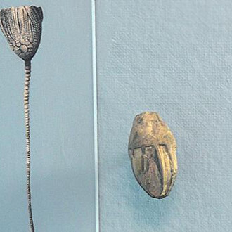 Felix M. Warburg Hall of New York State Environment. Courtesy of American Museum of Natural History