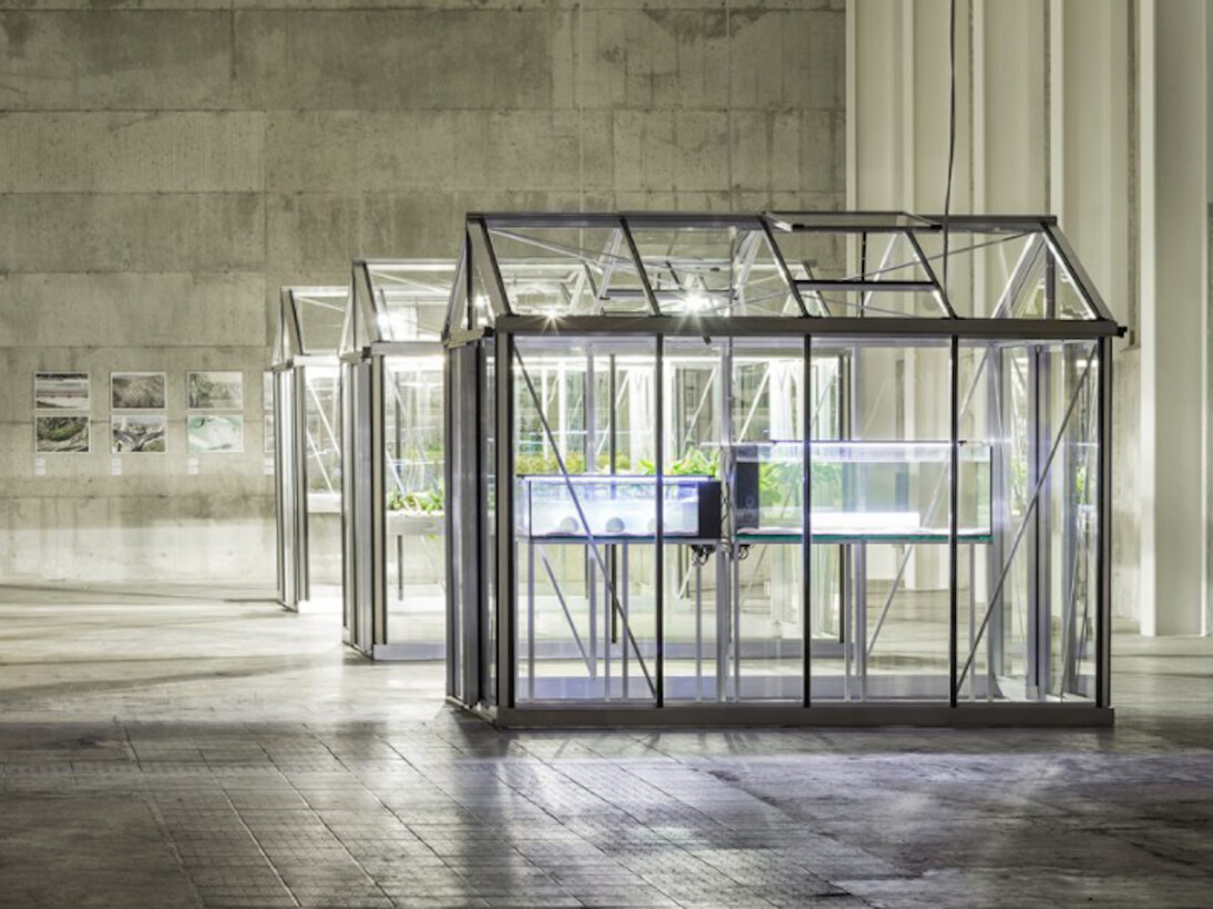 Extinct in the Wild, Exhibition view. Courtesy of Fondazione Prada