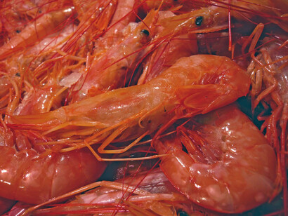 Gambas
