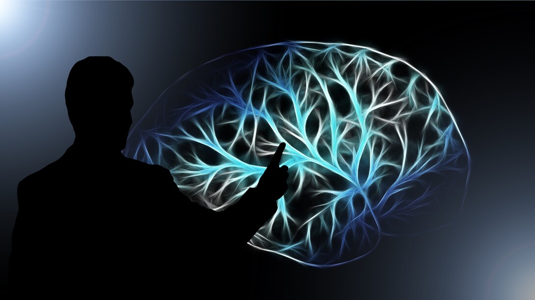 Il nostro cervello, probabilmente il componente più affascinante del corpo umano