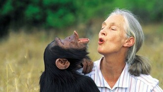 Jane Goodall, one of the most prestigious and well-known women around the world for her research 