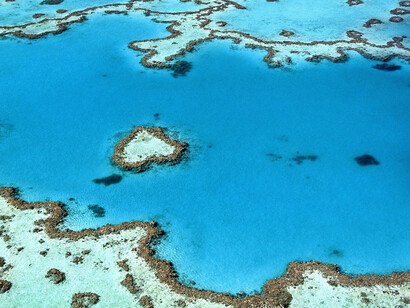 L'acidificazione degli oceani causa squilibri ecologici nelle aree colpite