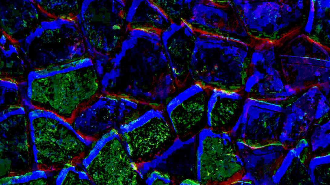 Wally Gilbert, Shadows (detail), 2024. Courtesy of Viridian Artists