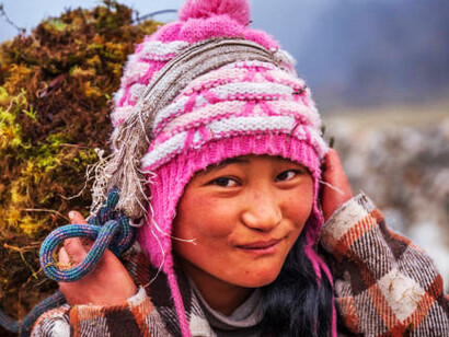 The Sherpa people, a Tibetan ethnic group, are native to the rugged mountain regions of Nepal. A young Sherpa girl is seen carrying a basket filled with moss